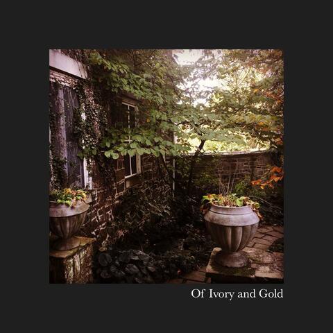 Of Ivory and Gold