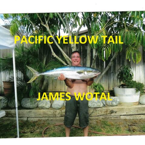 Pacific Yellow Tail