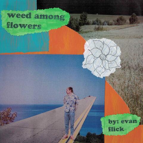 Weed Among Flowers