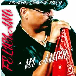 Mi Amor'
