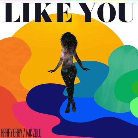 Like You (feat. Mk Zulu)