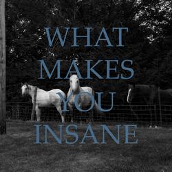 What Makes You Insane