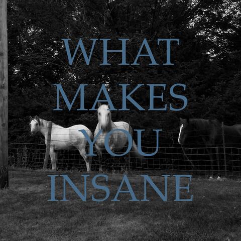 What Makes You Insane
