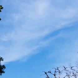 Headspace