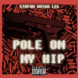 Pole on My Hip