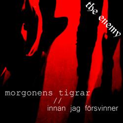 Morgonens Tigrar