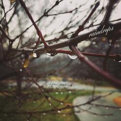 raindrops (feat. Logan Miller)