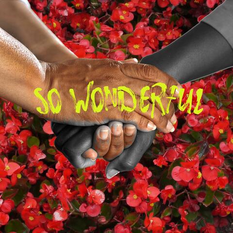 So Wonderful