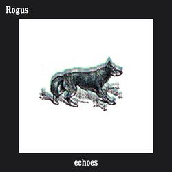 Echoes