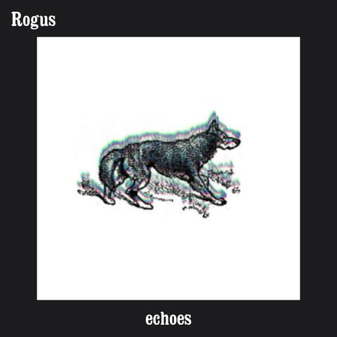 Echoes