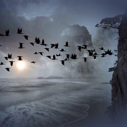 Secrets of the Sea