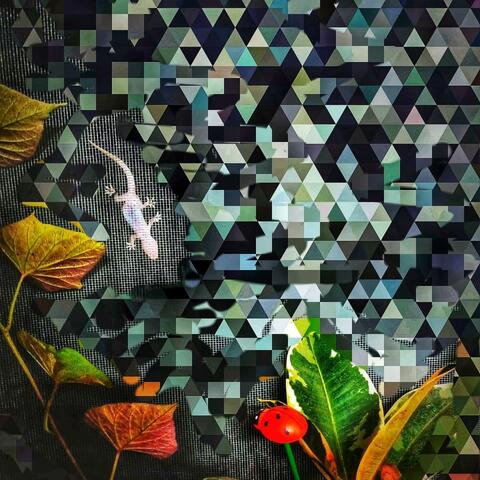 Wompus (feat. Guyku)