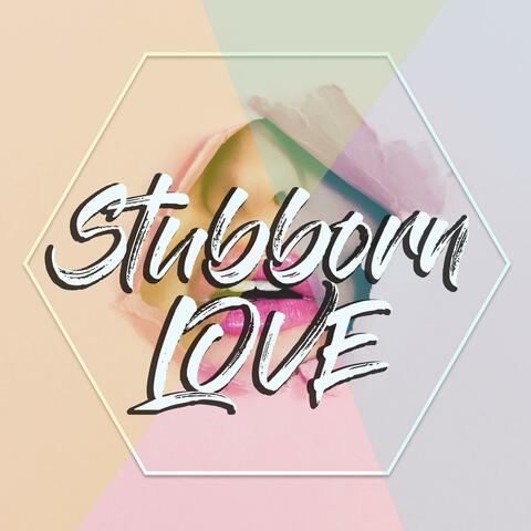 Stubborn Love