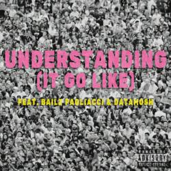 understanding (feat. Bailz Pagliacci & Datamosh)