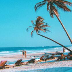 Daytona