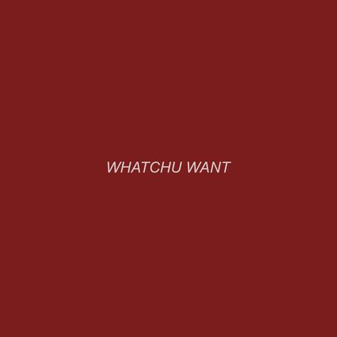 Whatchu Want (feat. SnoAngel)