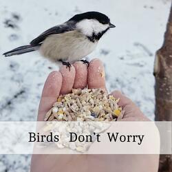 Birds Don't Worry