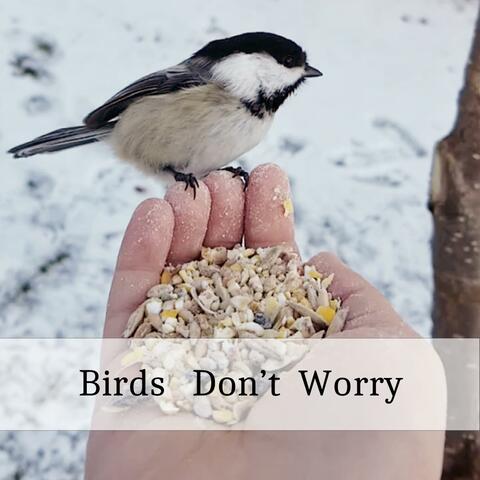 Birds Don't Worry