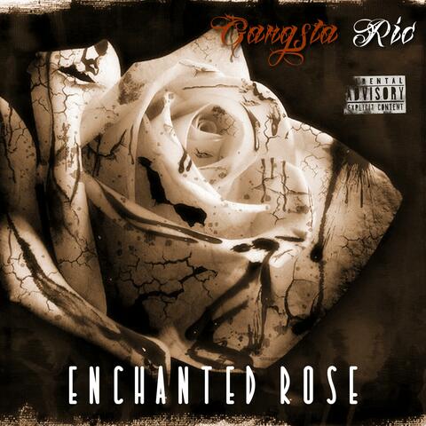 Enchanted Rose