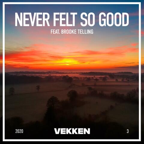 Never Felt So Good (feat. Brooke Telling)