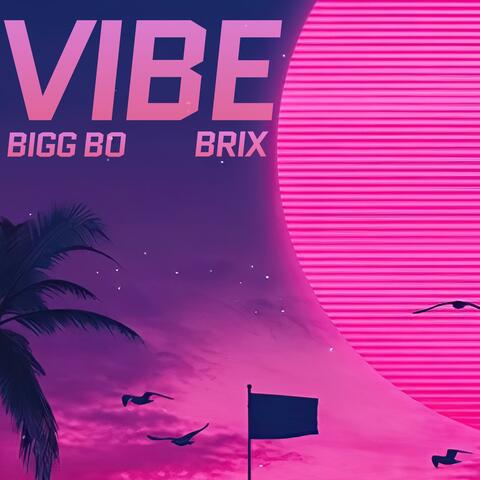 Vibe (feat. Brix)