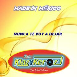 Nunca Te Voy a Dejar