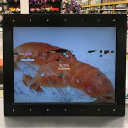 Glitch Sashimi