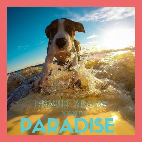 Paradise