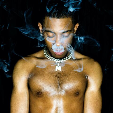 The Don Vol. I