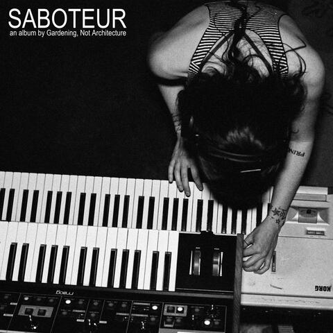 Saboteur