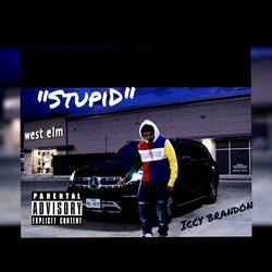 Stupid