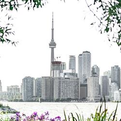 Toronto You're My Home (feat. Eric Lambier & Doug Rodger)