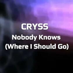 Nobody Knows (Where I Should Go)