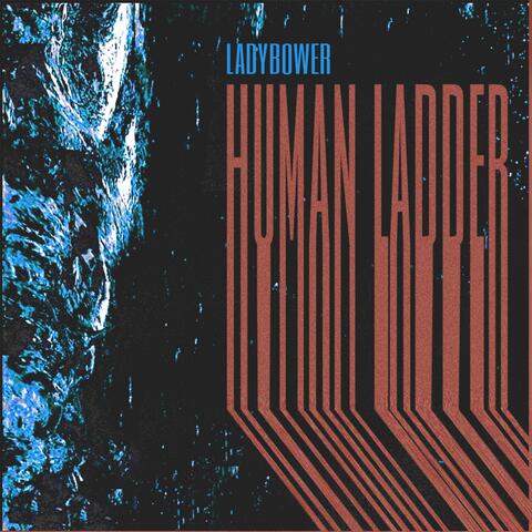 Human Ladder