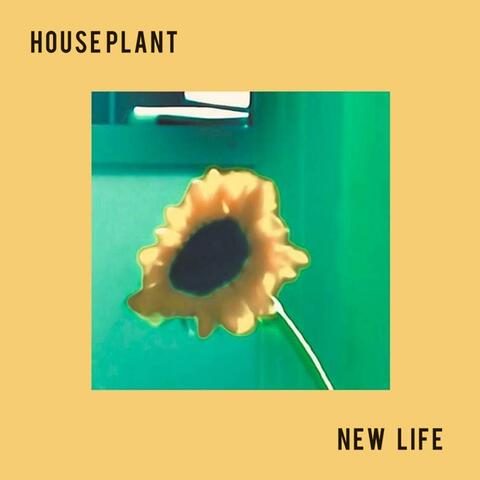 New Life