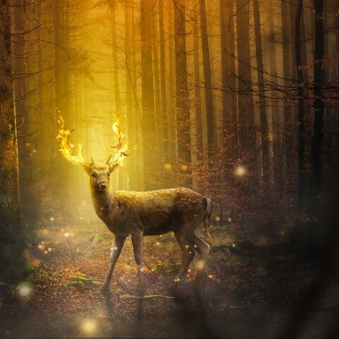 Colors of Autumn