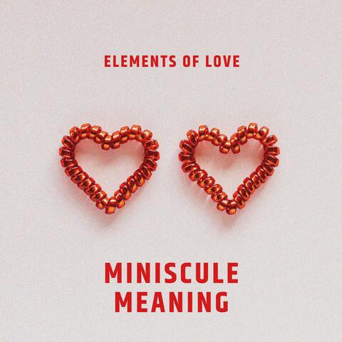 Miniscule Meaning