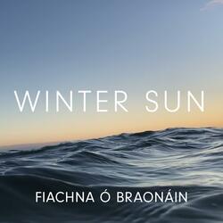 Winter Sun (feat. Clare Sands)