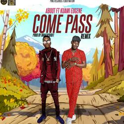 Come Pass (feat. Kuami Eugene)