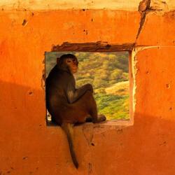 Siamo qui (feat. Libberà, Brigante, Cario M. & DonGocò)