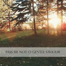 Pass Me Not, O Gentle Saviour