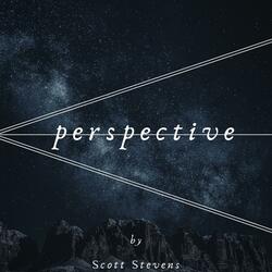 Perspective