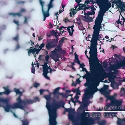 Equinox