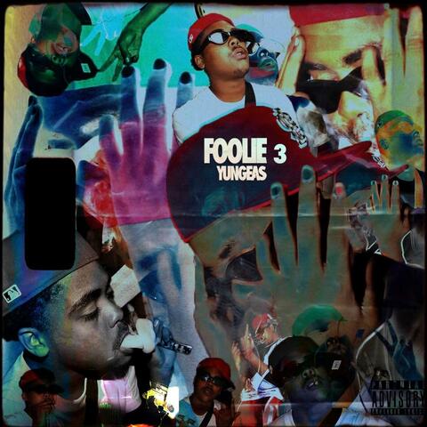Foolie 3
