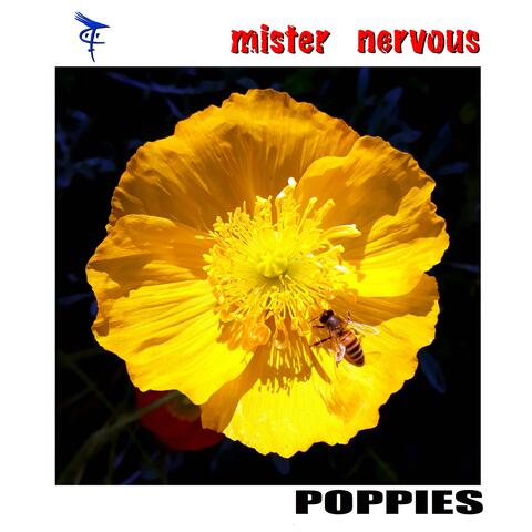 Poppies