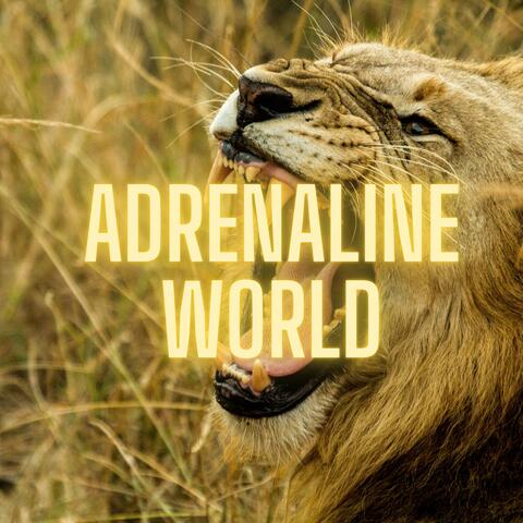 Adrenaline World