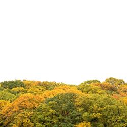 Last Days of Autumn