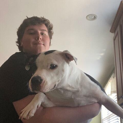 Gemma
