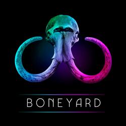 Boneyard