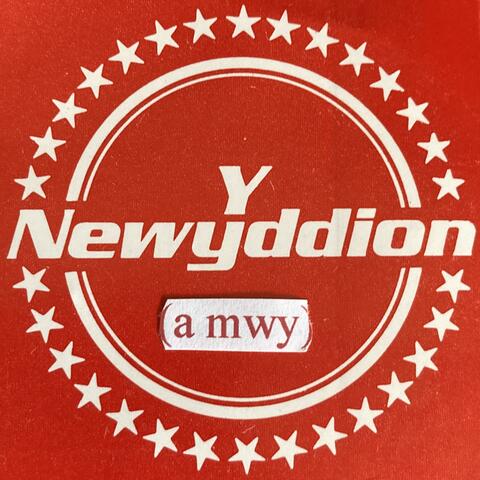 Y Newyddion (A Mwy 1979-81)